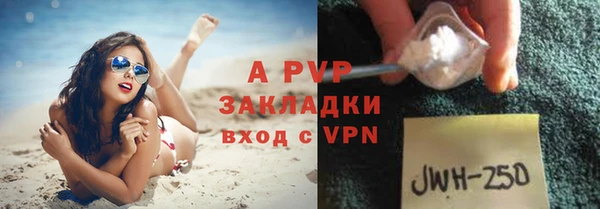 круглые Пересвет