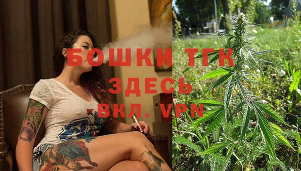 круглые Пересвет