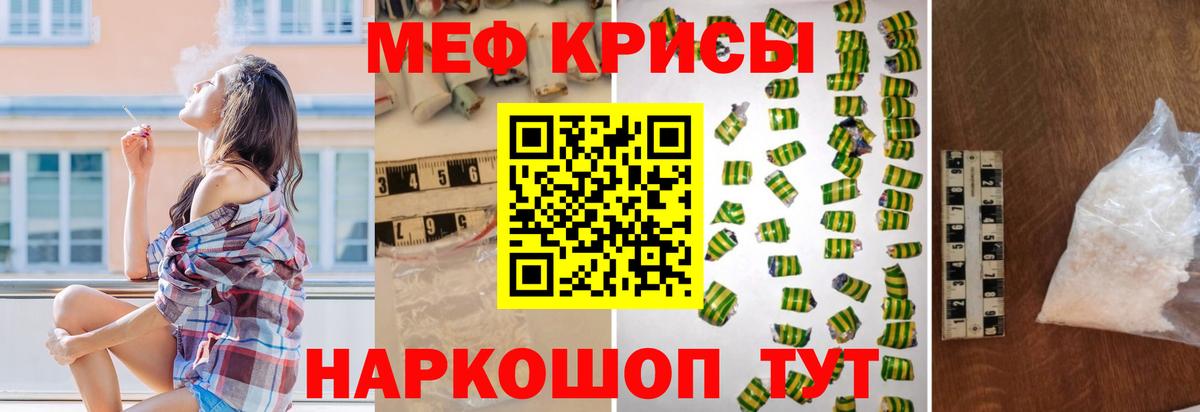 МЕФ Кострома