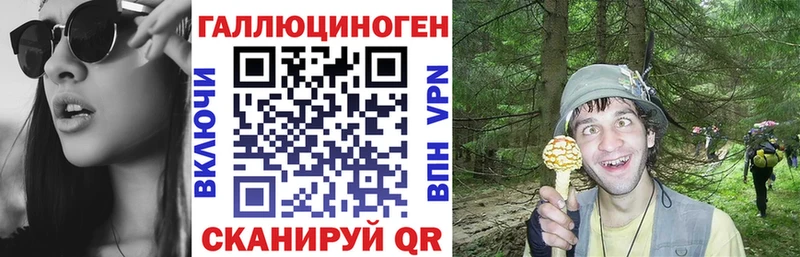 закладка  hydra зеркало  Галлюциногенные грибы Psilocybine cubensis  Кострома 