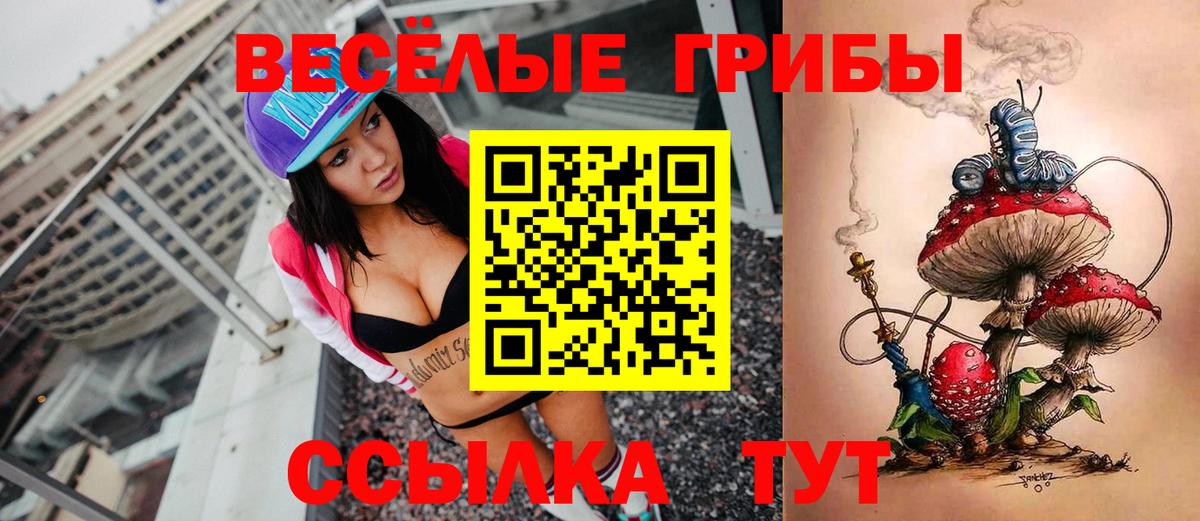 Псилоцибиновые грибы GOLDEN TEACHER  даркнет сайт  Галлюциногенные грибы Psilocybine cubensis  Кострома 