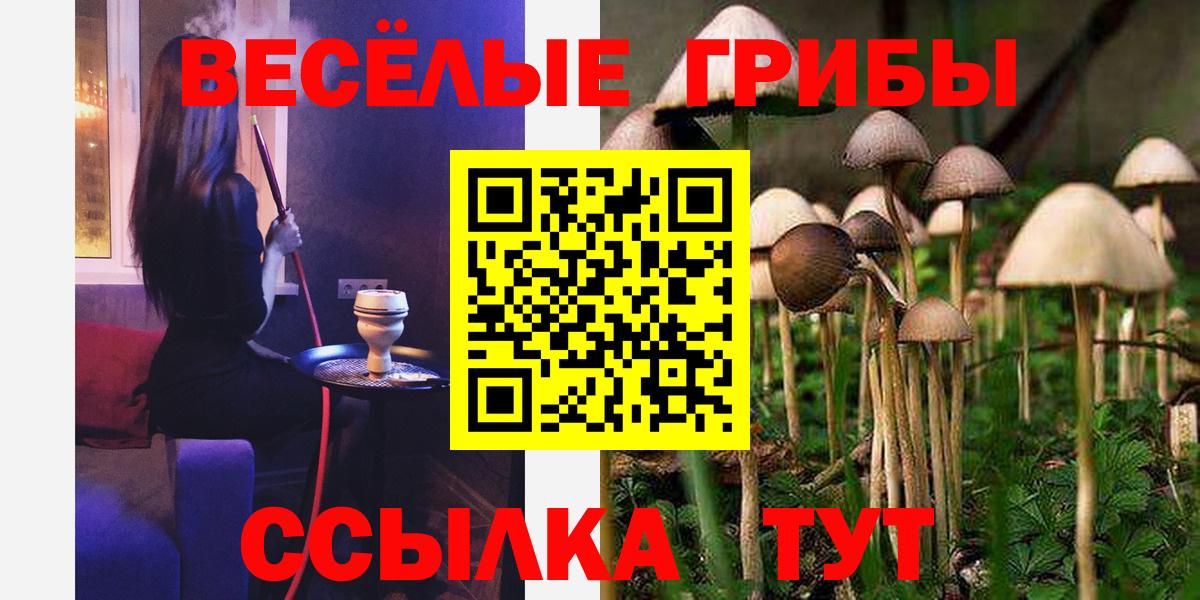 Псилоцибиновые грибы Magic Shrooms Кострома