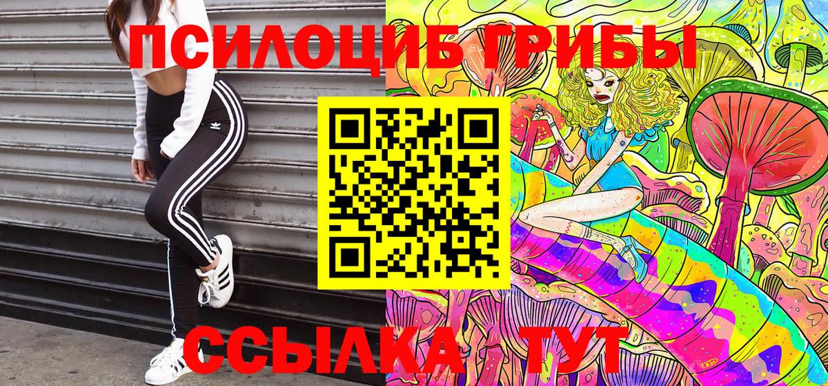 Галлюциногенные грибы Psilocybe  купить   Кострома  Вход с VPN 